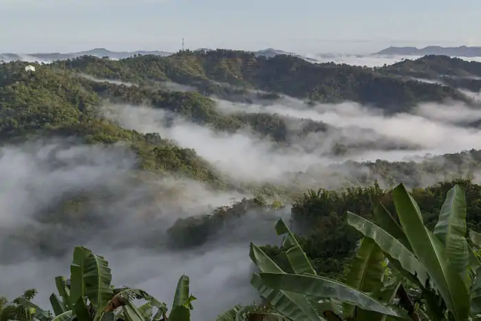A photo of Malaysia