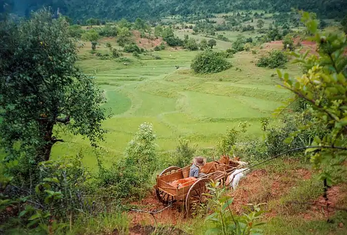 A photo of Burma