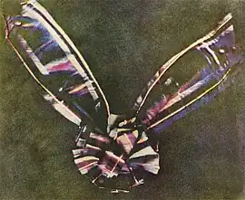 Image 4The first colour photograph in 1861. Produced by the three-colour method suggested by James Clerk Maxwell in 1855, it is the foundation of all colour photographic processes. (from Culture of the United Kingdom)