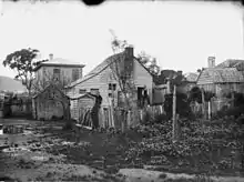 Bachelor cottage "The Old Shebang" near Tonks Ave on Cuba Street ca. 1883
